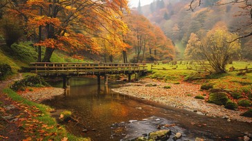 Free Autumn Bridge Serenity Image - Autumn, Bridge, Forest | Download ...