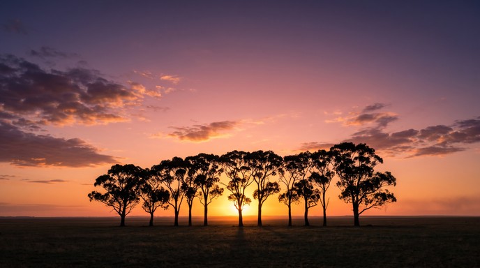 Versioning Tree A calm sunset scene shows a single row of tall trees standing on a wide ...