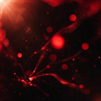 Download Crimson Light Currents Image - Abstract, Red, Crimson | StockCake