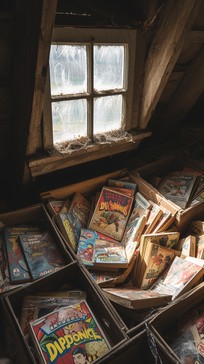 Free Attic Comic Trove Image - Attic, Comics, Vintage | Download at ...