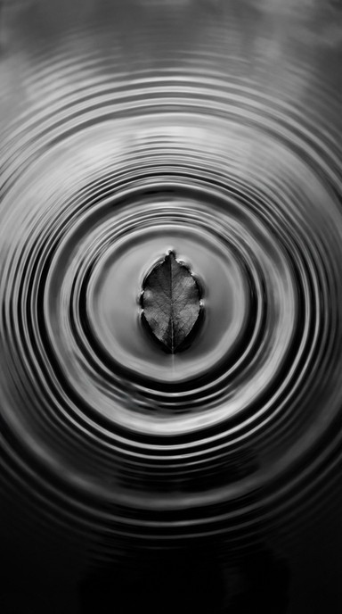 Free Ripples Embrace Stillness Image - Water, Ripples, Pond | Download ...