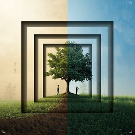 Free Growth Through Time Image - Tree, Growth, Nature | Download at ...
