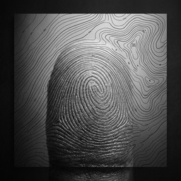 Identity Map Pattern Creative Free Identity Maps Terrain Image - Fingerprint, Identity, Topography ...