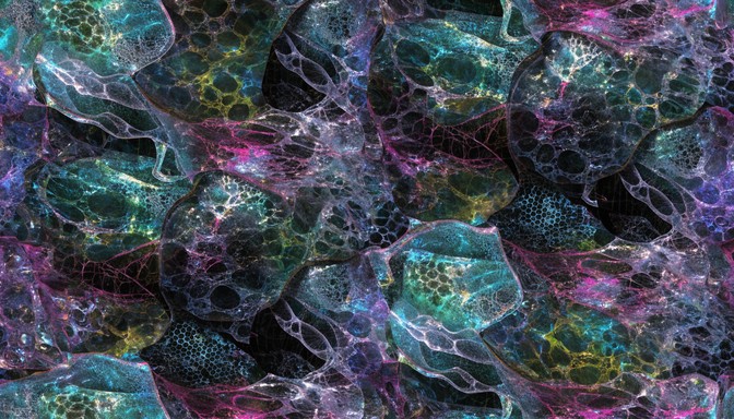 Free Bioluminescent Xenomorphic Texture Image - Xenomorphic ...
