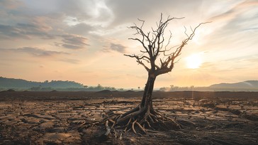 Simple Tree Barren Free Barren tree landscape Image - Tree, Barren, Drought | Download at ...