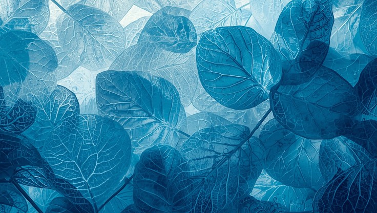 Free Azure Crystalline Leaves Image - Azure, Leaves, Translucent ...