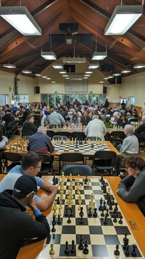 Free Chess Tournament Scene Image - Chess, Tournament, Concentration ...