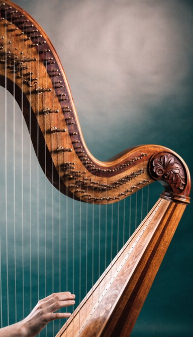 Free Elegant Harp Craftsmanship Image - Harp, Music, Instrument ...