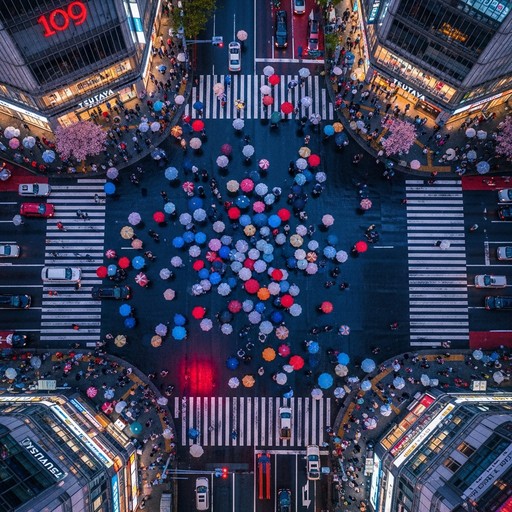 Free Tokyo Umbrella Symphony Image - Tokyo, Shibuya, Japan | Download ...