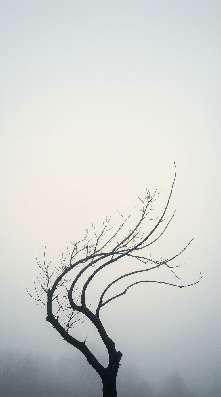 Free Bare Winter Branches Image - Tree, Branches, Fog | Download at ...