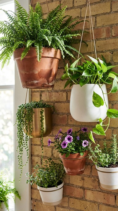 Free Vertical Garden Wall Image - Plants, Garden, Vertical | Download ...