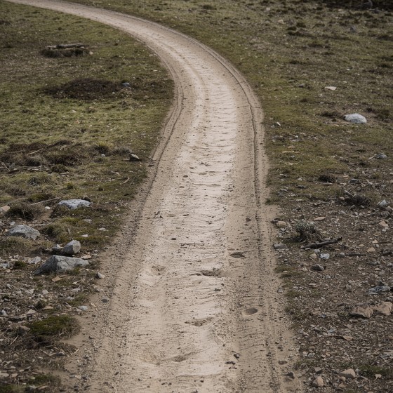 Free Path Less Traveled Image - Path, Trail, Journey | Download at ...