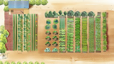 Free Organic Farm Layout Image - Agriculture, Farm, Sustainability ...