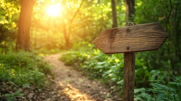 Free Forest Trail Sign Image - Forest, Trail, Sign | Download at StockCake