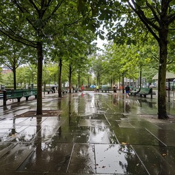 Free Rainy park day Image - Rain, Park, Trees | Download at StockCake