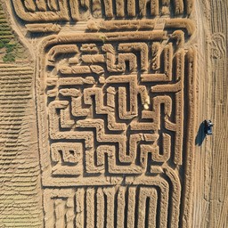 Corn Maze Pattern Free Intricate Corn Maze Image - Maze, Corn, Aerial | Download at StockCake
