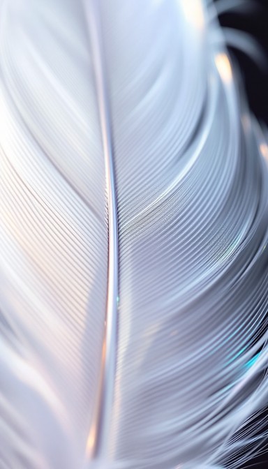 Free Ethereal Feather Dance Image | Download at StockCake