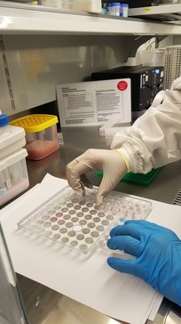 Free Lab Sample Analysis Image - Laboratory, Scientist, Petri ...