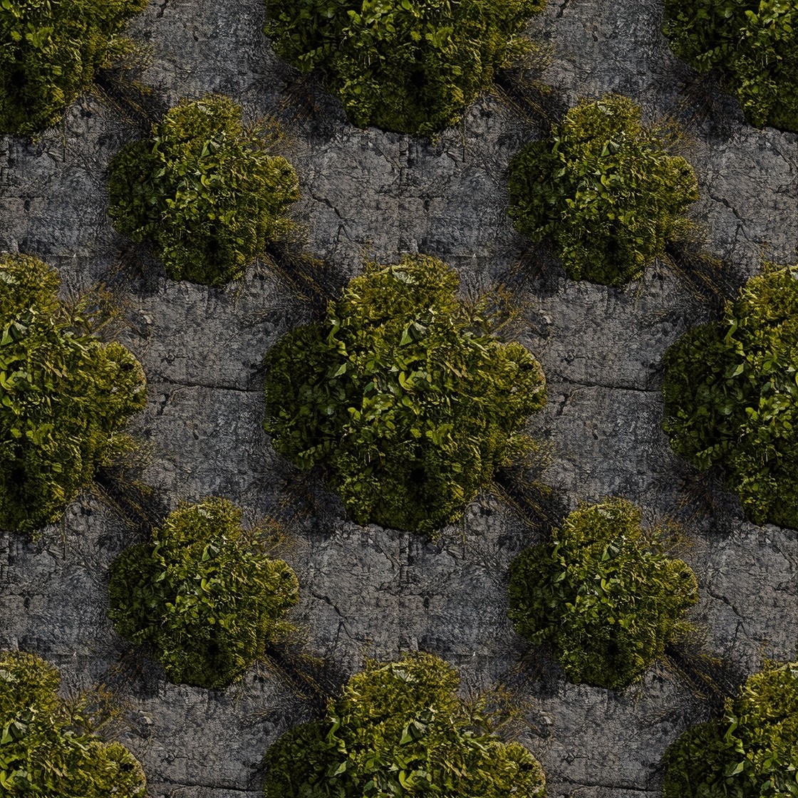 Free Moss Meets Concrete Image - Concrete, Moss, Texture | Download at ...