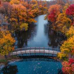 Free Autumn Bridge View Image - Autumn, Bridge, Trees | Download at ...