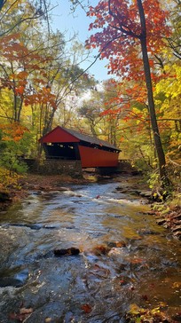 Free Autumn Covered Bridge Image - Autumn, Foliage, Bridge | Download ...
