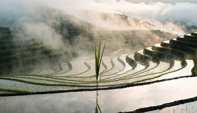 Free Misty Rice Terraces Image - Rice, Terraces, Mist | Download at ...