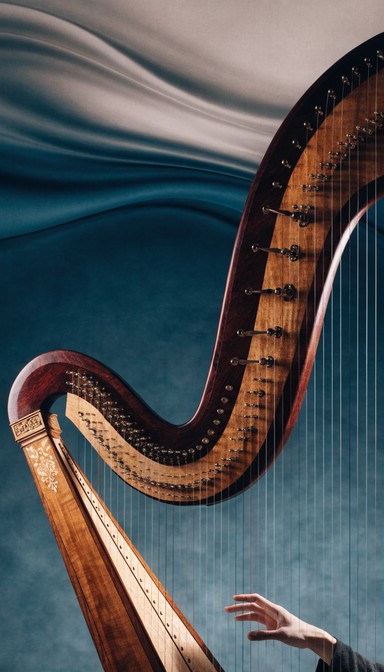 Free Elegant Harp Craftsmanship Image - Harp, Music, Instrument ...