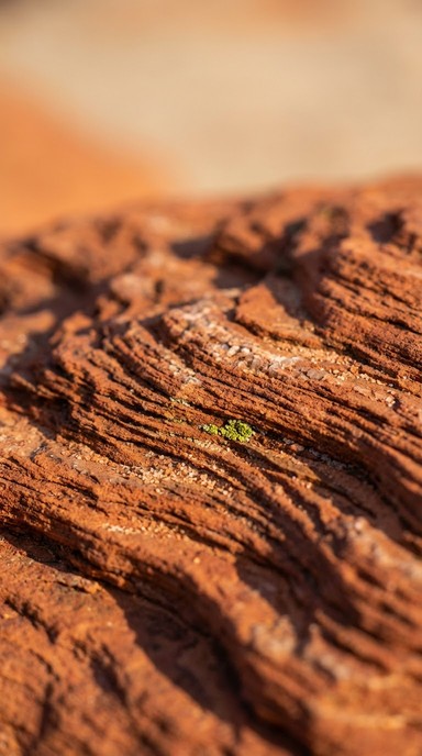 Free Desert Stone Layers Image - Sandstone, Geology, Desert | Download ...