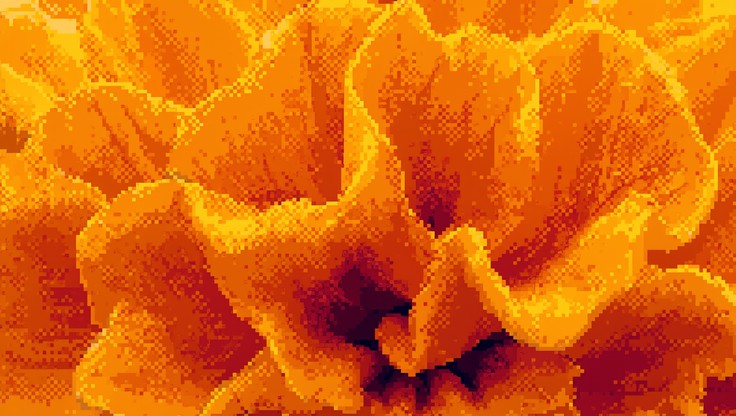 Free Marigold Pixel Texture Image - Marigold, Pixel, Texture | Download ...
