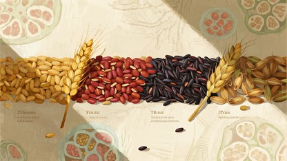 Free Ancient Grain Spectrum Image - Wheat, Quinoa, Rice | Download at ...