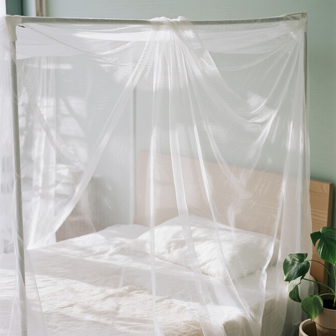 White Translucent Canopy Free Dreamy White Canopy Image | Download at StockCake
