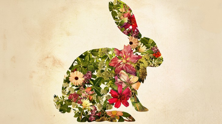 Free Floral Camouflage Rabbit Image - Rabbit, Flowers, Art | Download ...