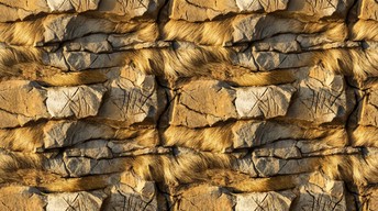 Stone Layer Pattern Free Ancient Stone Layers Image - Texture, Pattern, Stone | Download at ...