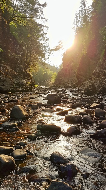Rocky Stream Vector Free Sunlit Rocky Stream Image - Stream, Sunset, Nature | Download at ...