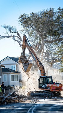 Tree Removal Operations Free Tree Removal Operation Image - Excavator, Tree, Removal | Download ...