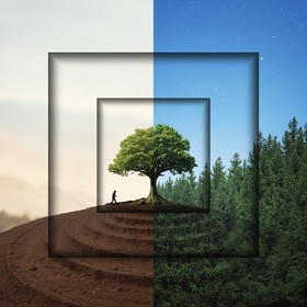 Free Growth Through Time Image - Tree, Growth, Nature | Download at ...
