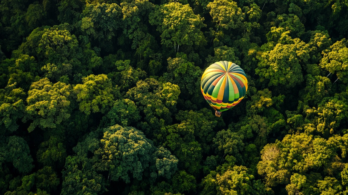 Free Balloon Over Forest Image - Balloon, Forest, Aerial | Download at ...