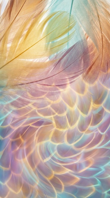 Free Ethereal Feather Flow Image - Feather, Plumage, Abstract ...