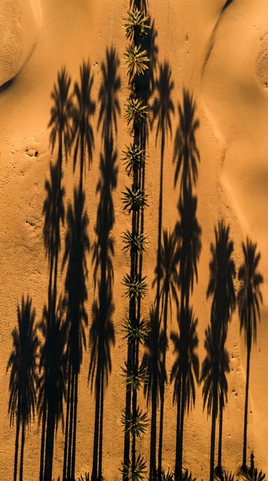 Free Desert Shadow Patterns Image - Aerial, Shadows, Desert | Download ...