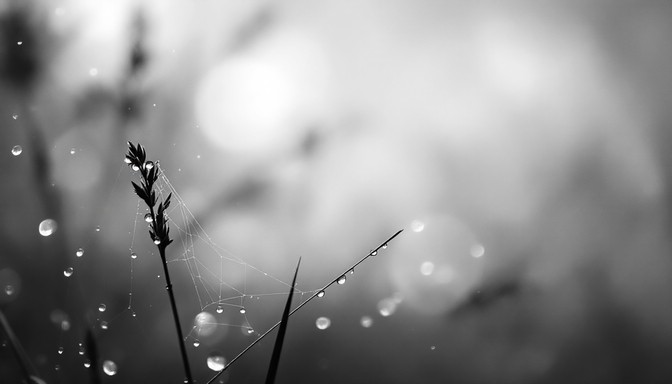 Mist Stuff Free Mist In Motion Image - Spray, Mist, Droplets | Download at StockCake