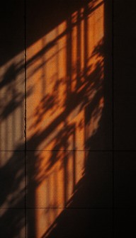 Orange Fire Shadow Free Dancing Fire Shadow Image - Fire, Flames, Shadow | Download at ...
