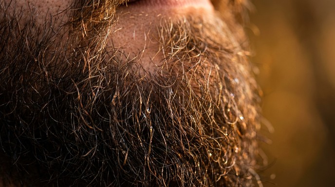 Free Beard Texture Stock AI Images | StockCake