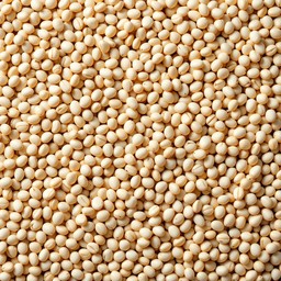 Free Scattered Bean Texture Image - Beans, Legumes, White | Download at ...
