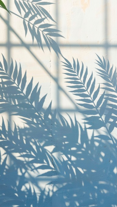 Free Layered Light Patterns Image - Shadows, Patterns, Gradient ...