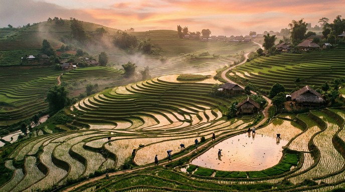 Free Terraced Rice Heritage Image - Rice, Terraces, Paddies | Download ...