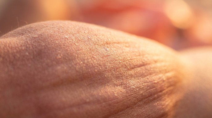 Free Strength Through Softness Image - Muscle, Skin, Texture | Download ...