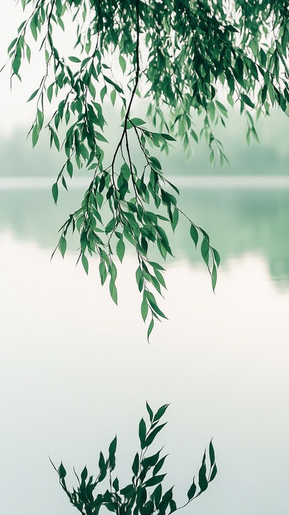 Free Tranquil lake view Image - Tranquil, Lake, Green | Download at ...