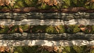 Free Mountain Forest Textures Photo - Weathered, Wooden, Texture ...