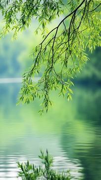 Free Tranquil lake view Image - Tranquil, Lake, Leaves | Download at ...