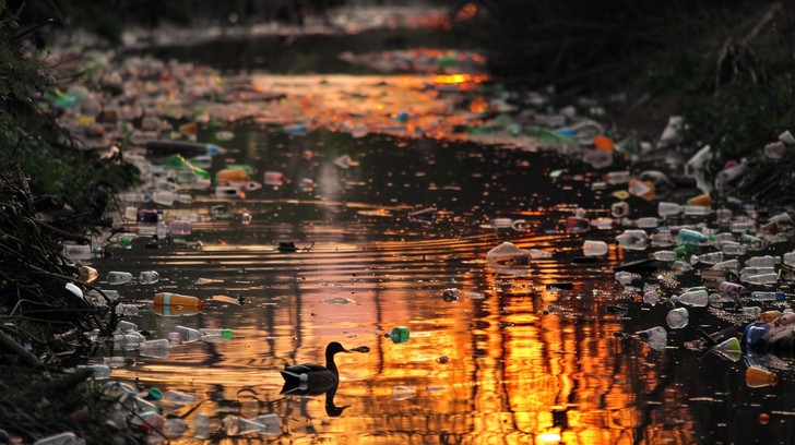 Free Polluted Sunset Waters Image | Download at StockCake